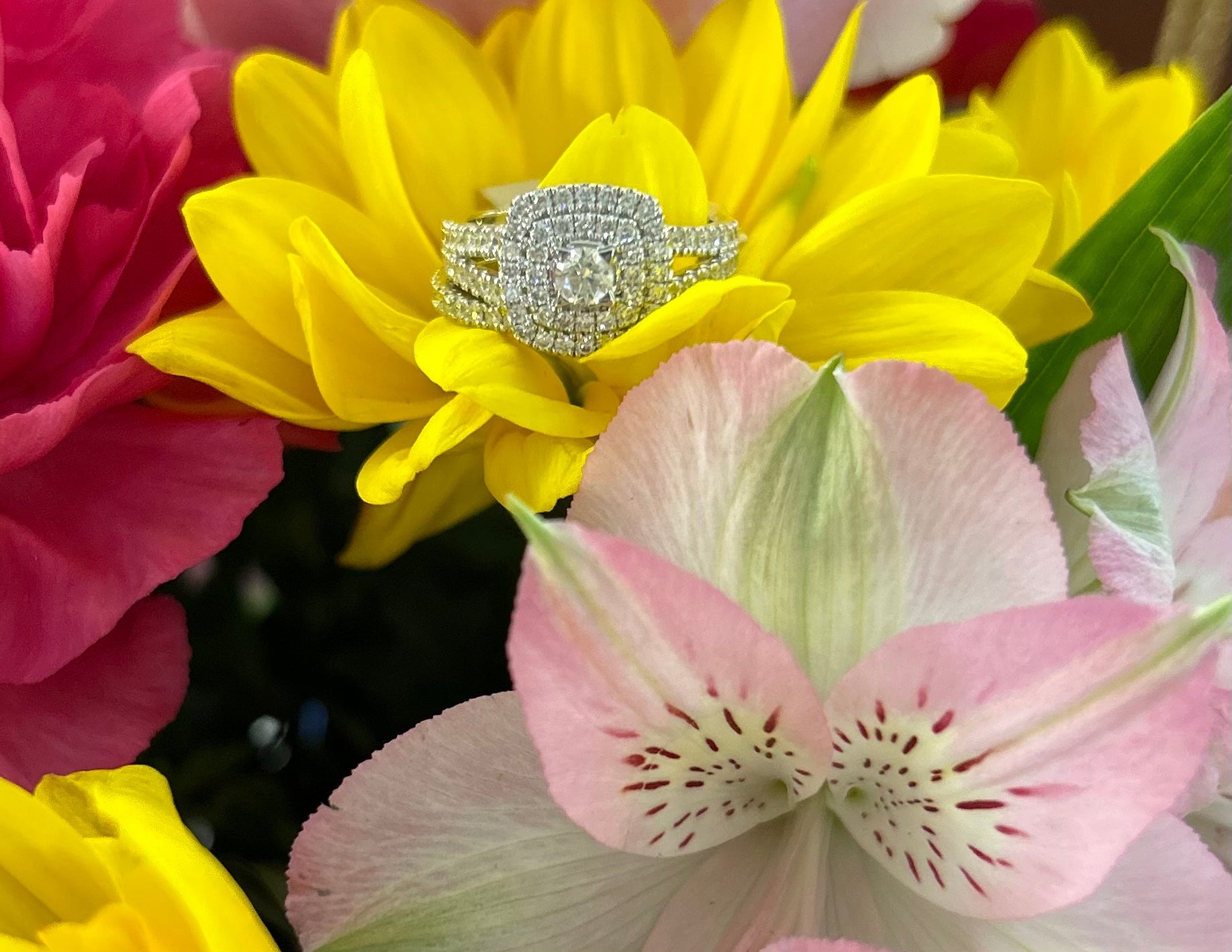 10K Round Double Halo Engagement Set